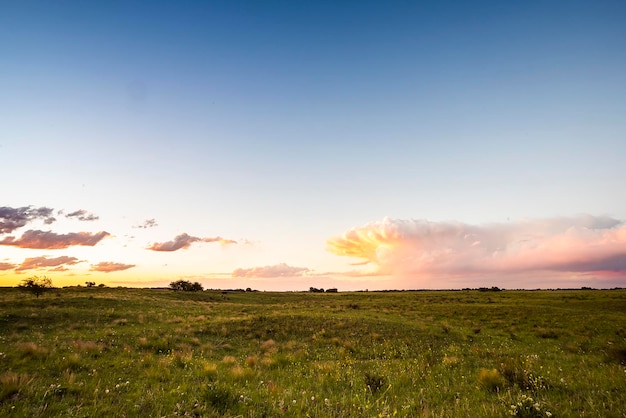 Paisaje en La Pampa Argentina al atardecer provincia de La Pampa Patagonia Argentina