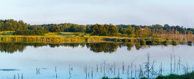 Paisaje de panorama de lago de verano por la noche con reflejos de plantas en la superficie del agua (cerca del asentamiento de Shklo, Óblast de Lviv, Ucrania).