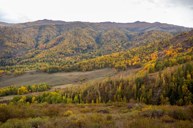 Paisaje panorámico de montaña de otoño