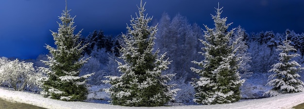 Paisaje panorámico de la noche de invierno Árboles de Navidad cubiertos de nieve Nieve de cuento de hadas y ambiente festivo Panorama