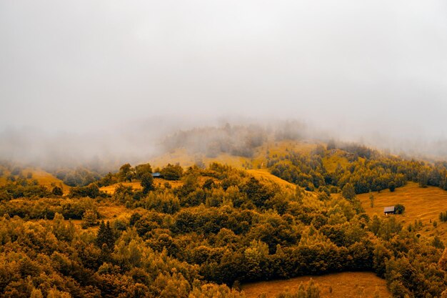 Foto paisaje panorámico de otoño de un bosque de colina en moieciu de jos brasov transilvania rumania