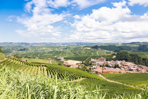 Paisaje panorámico en la región de Piamonte, Italia. Colina pintoresca de viñedos con el famoso castillo y la ciudad de Barolo.