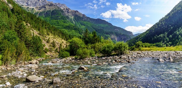 Paisaje panorámico del valle con río cristalino, piedras y árboles altos en Ordesa Pirineos. Zona de descanso y acampada para disfrutar del tiempo libre.