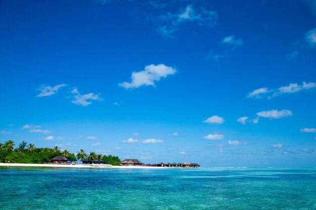 Paisaje de paraíso tropical en Maldivas