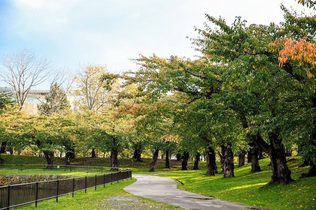 Foto el paisaje del parque con el concepto de la relajación, el concepto de la actividad de la libertad del viaje.