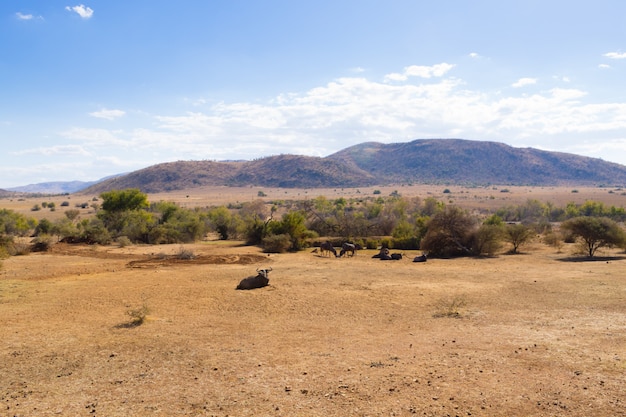 Paisaje del Parque Nacional Pilanesberg, Sudáfrica