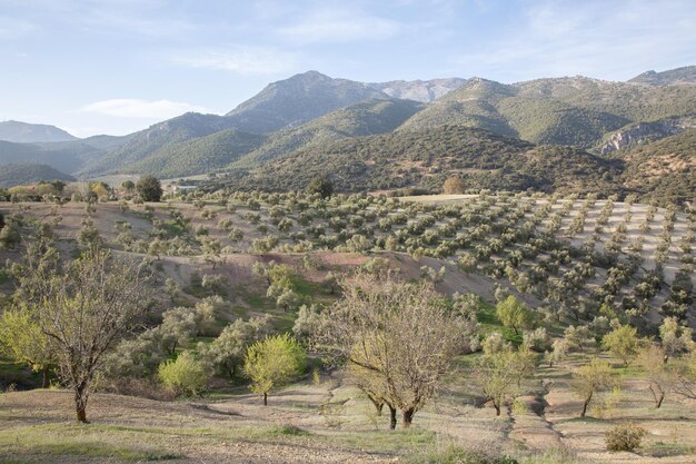 Paisaje del Parque Nacional Sierra Magina Jaén España