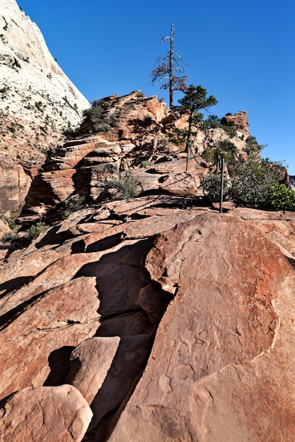 Paisaje en el Parque Nacional Zion a lo largo de Angels Landing Trail, EE.UU.