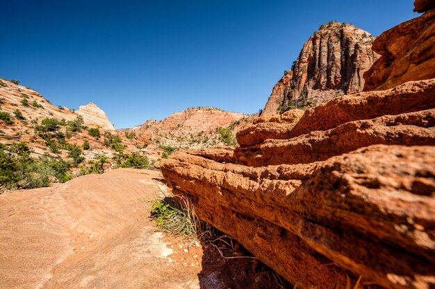 Paisaje en Parque Nacional Zion