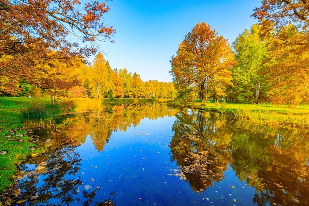 Paisaje de parque otoñal con un lago. Otoño. Una nueva temporada. Precioso paisaje. Árboles amarillos. Fotos para productos impresos. Un artículo sobre el otoño. parque