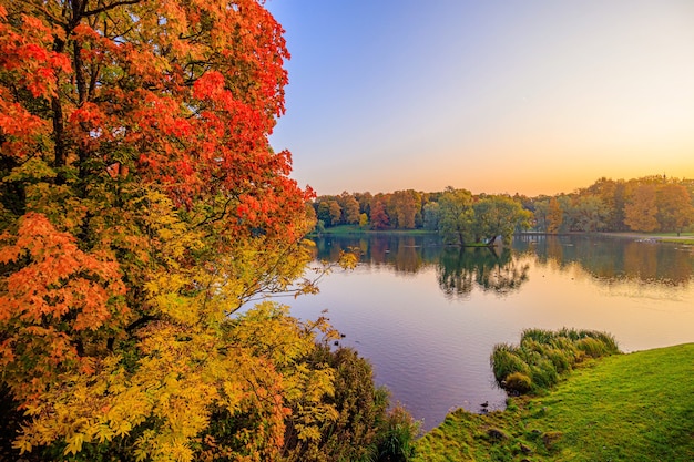 Paisaje de parque otoñal con un lago. Otoño. Una nueva temporada. Precioso paisaje. Árboles amarillos. Fotos para productos impresos. Un artículo sobre el otoño. parque