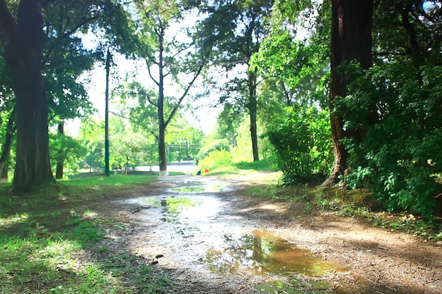 paisaje del parque de verano, árboles verdes y pasarela en el parque de la ciudad de verano