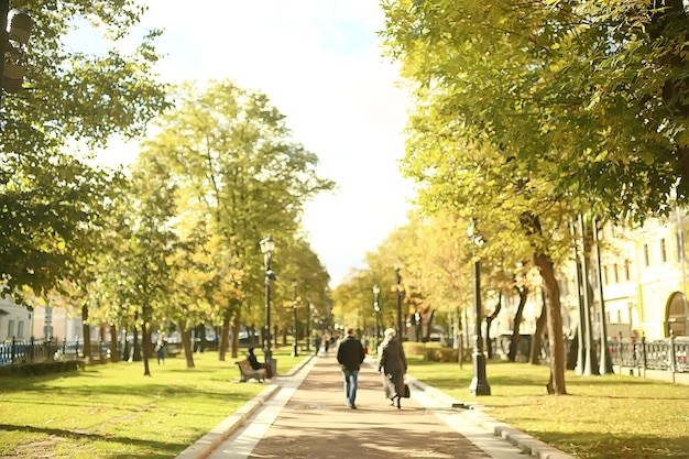 paisaje del parque de verano / vista estacional, árboles verdes en verano, concepto de caminata por la naturaleza, ecología, eco