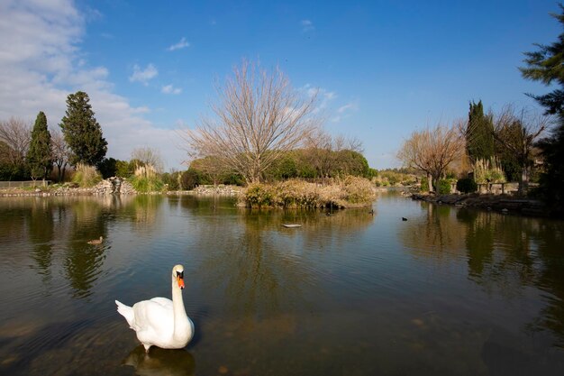 Foto paisaje del parque de vida natural de izmır (parque dogal yasam) (izmir / turquía)