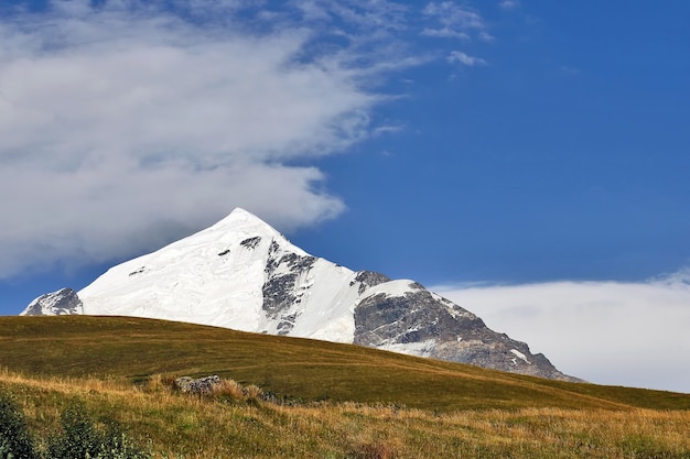 Paisaje de pasto verde y montañas nevadas