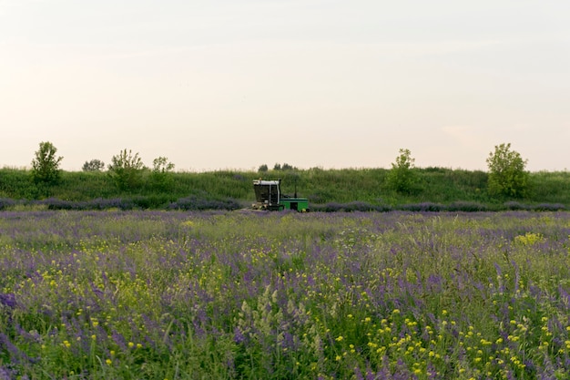 Paisaje pastoral con un prado florido y una máquina para limpiar el pienso del ganado