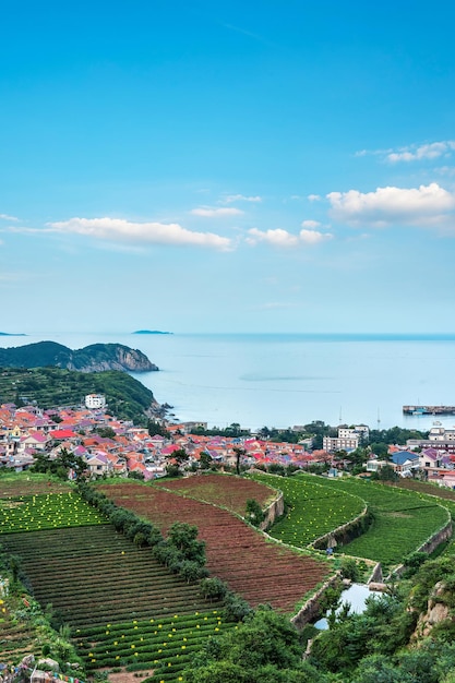 Paisaje pastoral rural de la costa de Qingdao aeroespacial