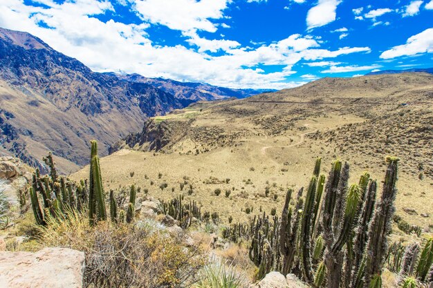 Paisaje del peru