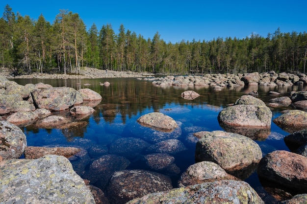 Paisaje con piedras en el lago contra el fondo de un bosque de abetos en un día soleado de verano