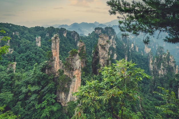 Paisaje de pilares de piedra de la montaña Tianzi en Zhangjiajie