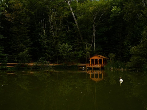 Foto paisaje pintoresco casa del lago reflexión en el agua bosque