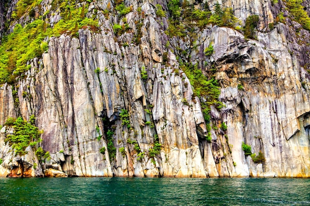 El paisaje pintoresco: rocas, árboles y mar