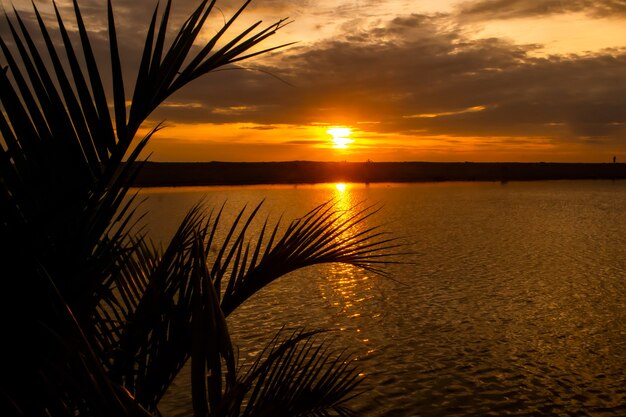 Paisaje de playa al atardecer con silueta de palmeras