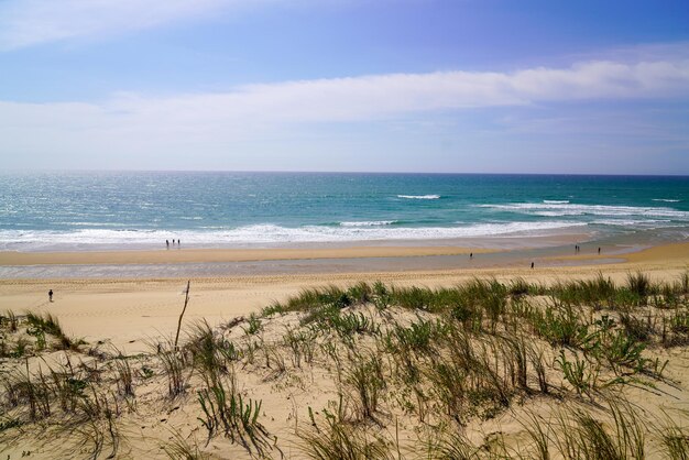 Paisaje de playa de arena de la costa atlántica de Francia