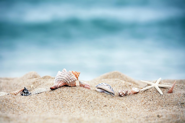 Paisaje de playa azul y mar con concha de estrella de mar y conchas en la arena de la playa y summe ondulado