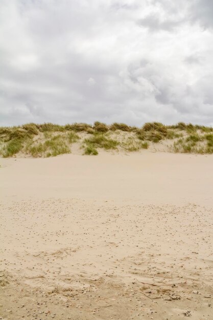 Foto el paisaje de la playa en spiekeroog