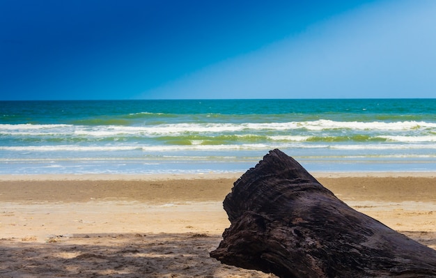 Paisaje de playa de verano y cielo azul. Hermosa naturaleza para la relajación.