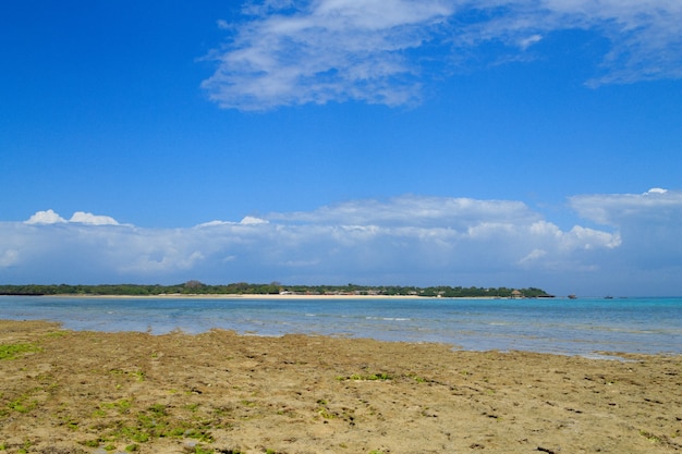 Paisaje de la playa de Zanzíbar, Tanzania, panorama de África. Paisaje del océano Índico