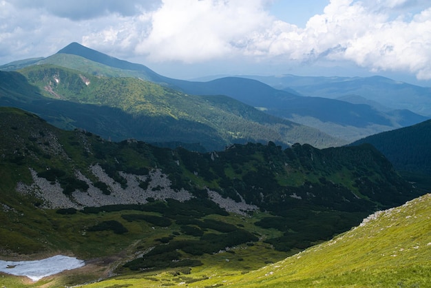 Paisaje de pradera alpina en verano