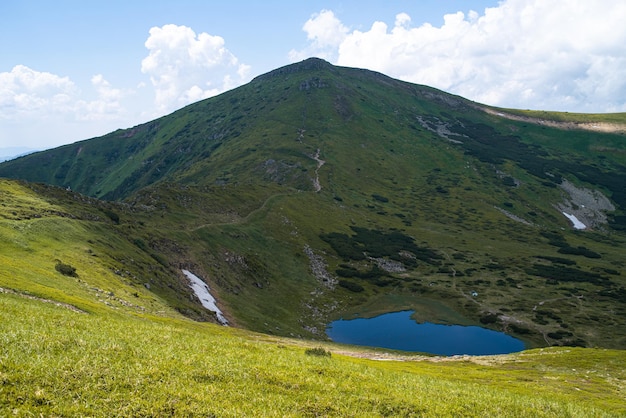 Paisaje de pradera alpina en verano