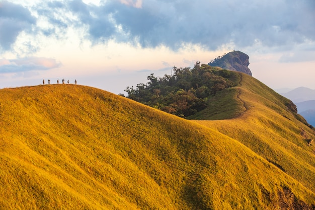 Paisaje de pradera en alta montaña.