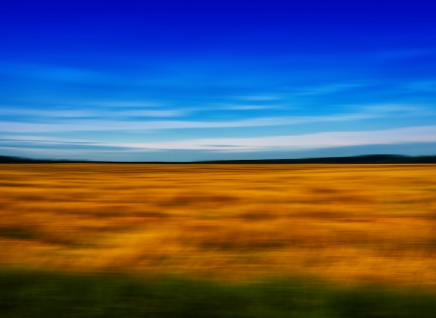Foto paisaje de pradera de campo de movimiento vivo horizontal