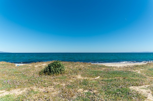 Paisaje de pradera cerca de la playa.