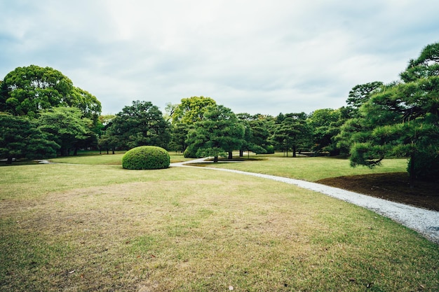 Paisaje de pradera con concepto de cielo azul en primavera. Árboles de césped de césped verde suave con apoyo y arbustos en una pasarela de patrón de curva gris de buen mantenimiento. hermosa naturaleza bosque parque japón.