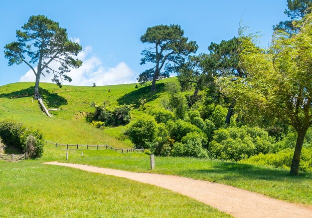 paisaje de pradera verde