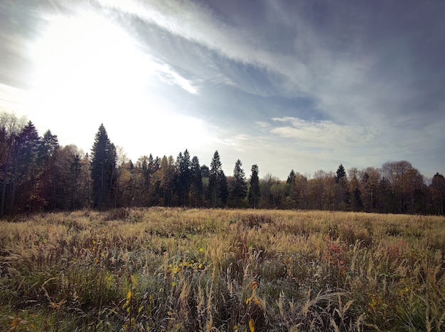 Paisaje de prado de campo de otoño