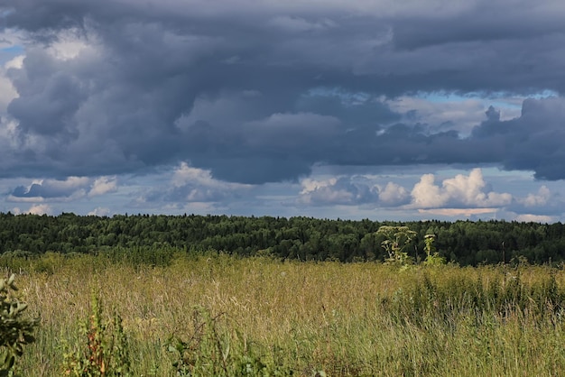 Paisaje prado cielo nube