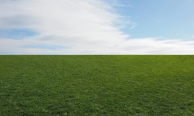 paisaje con prado y cielo