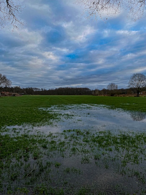 Paisaje de un prado inundado con árboles y cielo azul