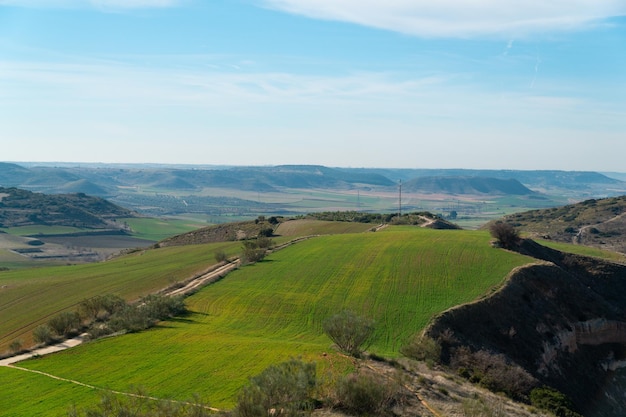 Paisaje de un prado verde en primavera en un día soleado