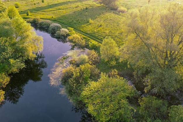 Paisaje de primavera estacional natural con árboles soleados, prado verde y río con reflejo