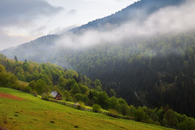 Paisaje de primavera en las montañas de los Cárpatos