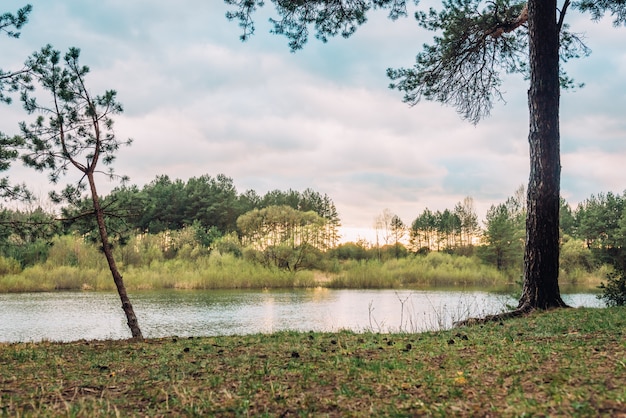 Paisaje de primavera de la puesta de sol sobre el río en el bosque de Bielorrusia.