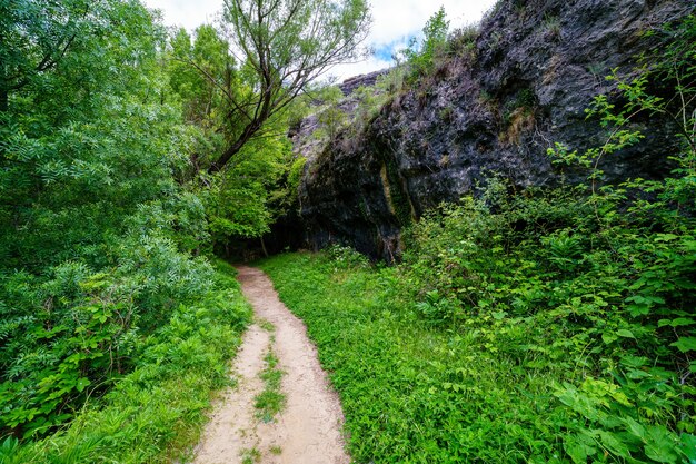 Paisaje de primavera verde con árboles altos y paredes de roca con un camino de tierra entre la vegetación. Río Duratón, Sepúlveda, Segovia. España.