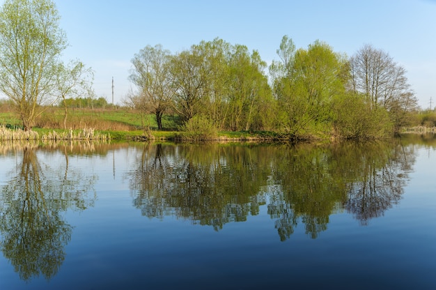 Paisaje de primavera