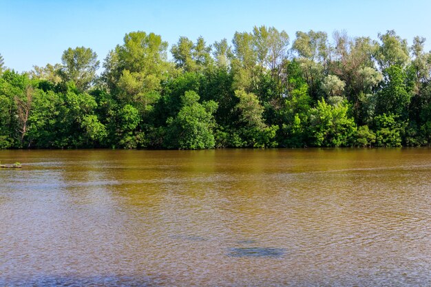 Paisaje primaveral con hermosos árboles verdes de río y cielo azul